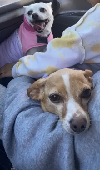 Mia