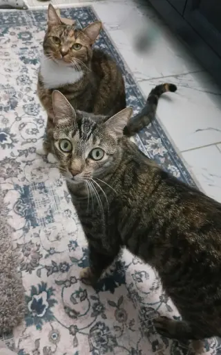 Sally and Birdie