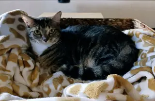 Sally and Birdie
