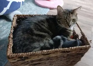 Sally and Birdie