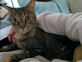 Sally and Birdie