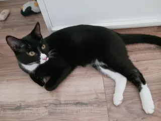Raymond and Reagan =^.^=