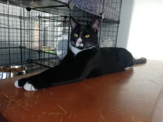 Raymond and Reagan =^.^=