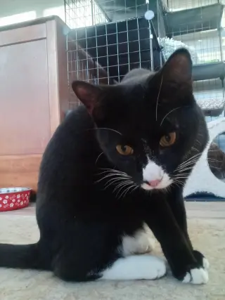 Raymond and Reagan =^.^=