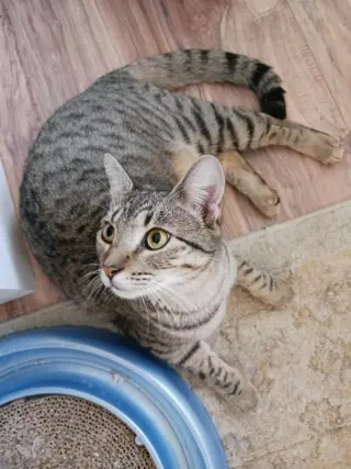 Raymond and Reagan =^.^=