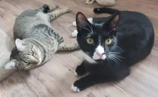 Raymond and Reagan =^.^=