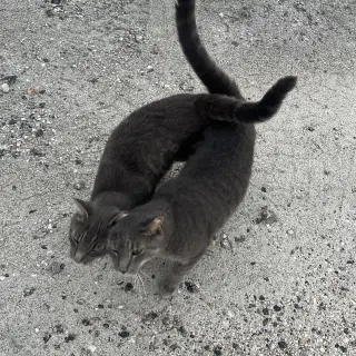 Lloyd & Larry