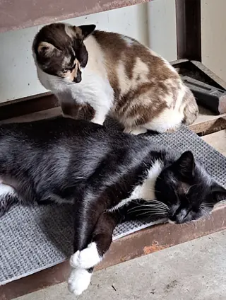 Cali and Tommy