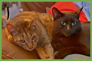 Danny and Lilbit