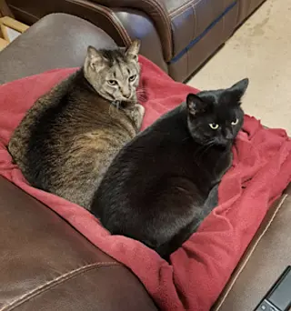 Danny and Lilbit