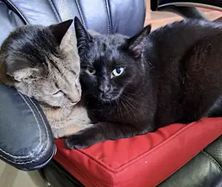 Danny and Lilbit