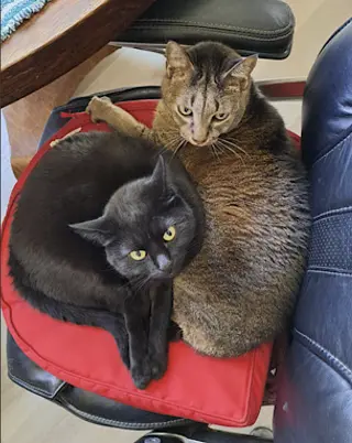 Danny and Lilbit