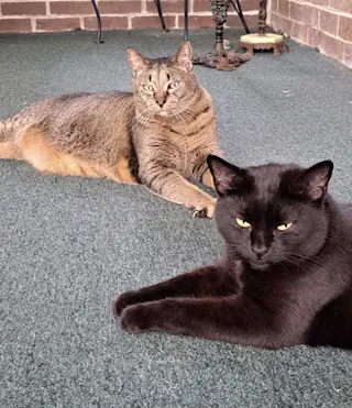 Danny and Lilbit