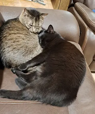 Danny and Lilbit