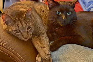 Danny and Lilbit