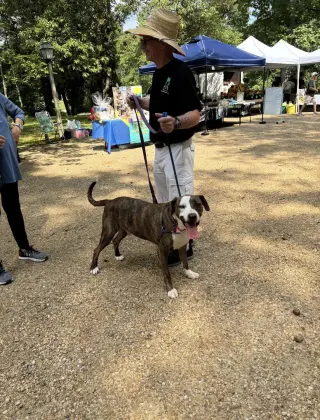 Drama in Gloucester VA