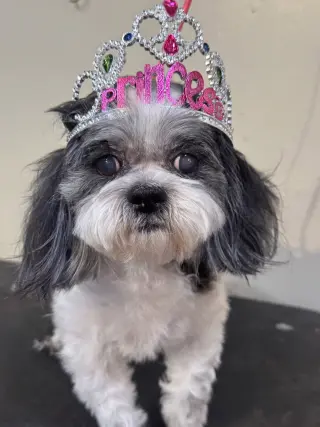 Princess