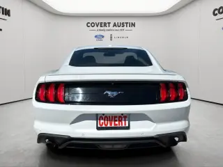 Ford Mustang 2019 EcoBoost Premium 2dr Fastback