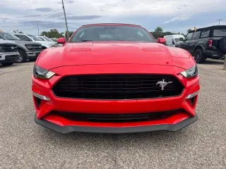 Ford Mustang 2019 GT Premium 2dr Convertible
