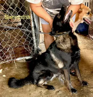 Samantha