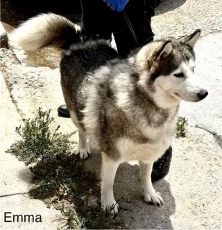 Emma