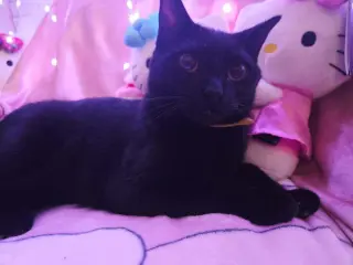 Precious