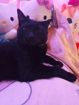 Precious