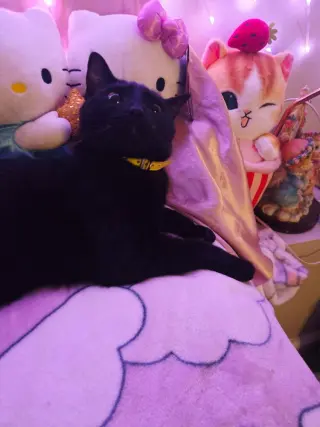 Precious