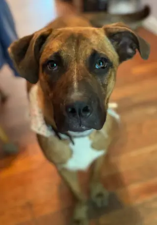 Jethro