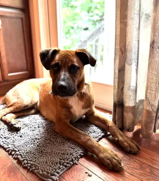Jethro