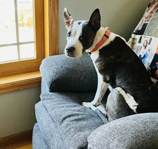 Bobbi Jo
