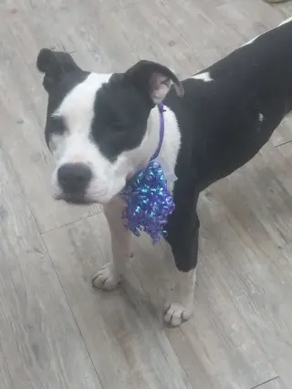 Lilith aka Lily
