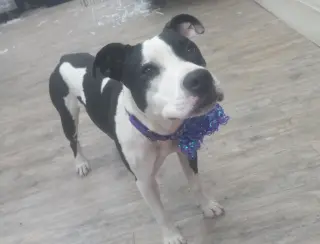 Lilith aka Lily