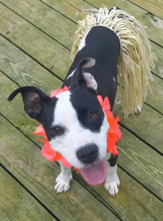 Lilith aka Lily