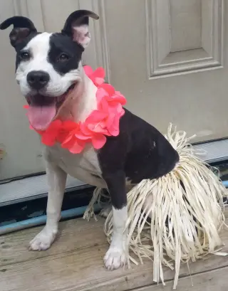 Lilith aka Lily
