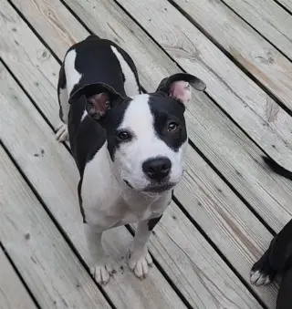 Lilith aka Lily