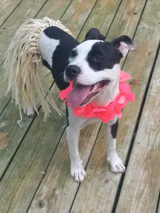 Lilith aka Lily