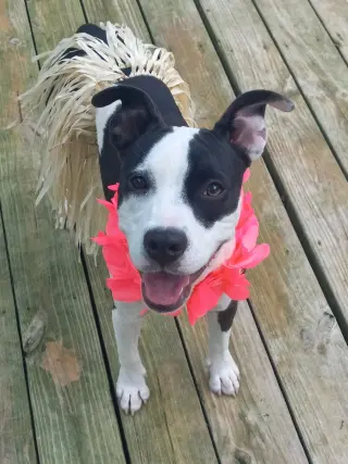 Lilith aka Lily