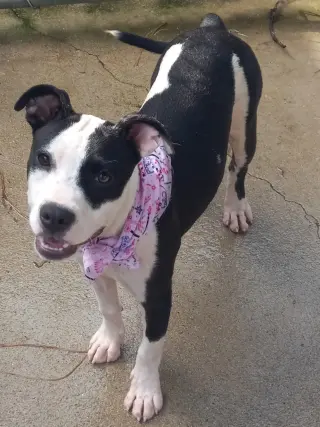 Lilith aka Lily