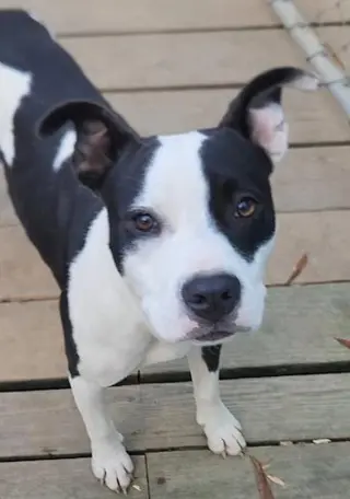 Lilith aka Lily