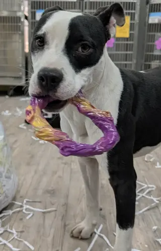 Lilith aka Lily