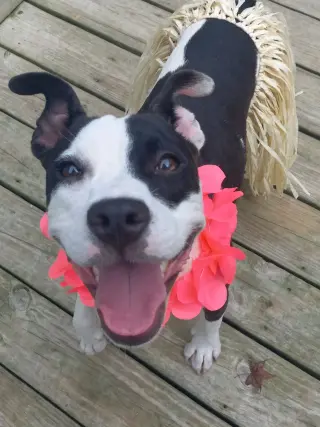 Lilith aka Lily