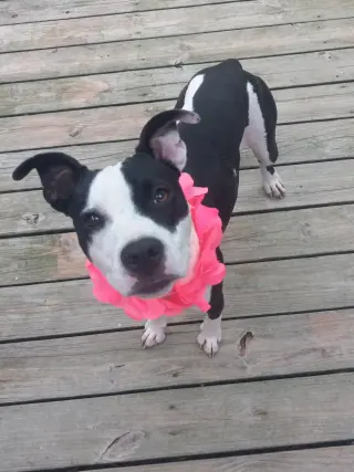 Lilith aka Lily