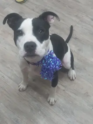 Lilith aka Lily