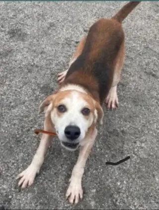 Gomer *Cross post*