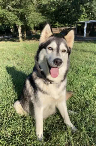 Luna