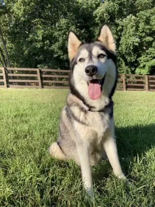 Luna