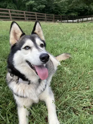 Luna