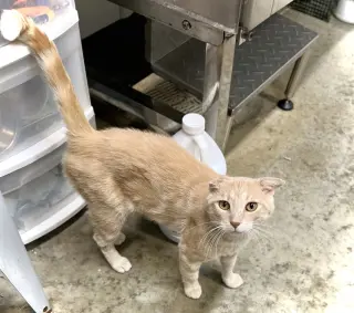Bob