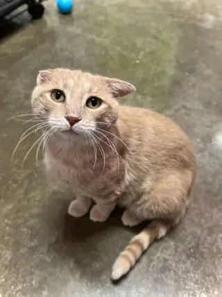 Bob